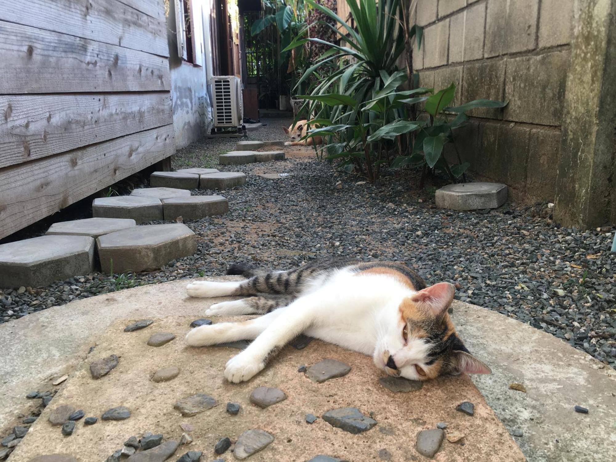 Imchai パーイ エクステリア 写真